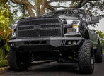 2015-2017 FORD F-150 ECO SERIES FRONT BUMPER - FD-19336